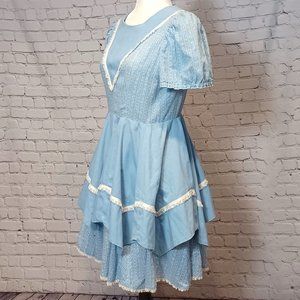 Vintage Blue Cottagecore Country Dress